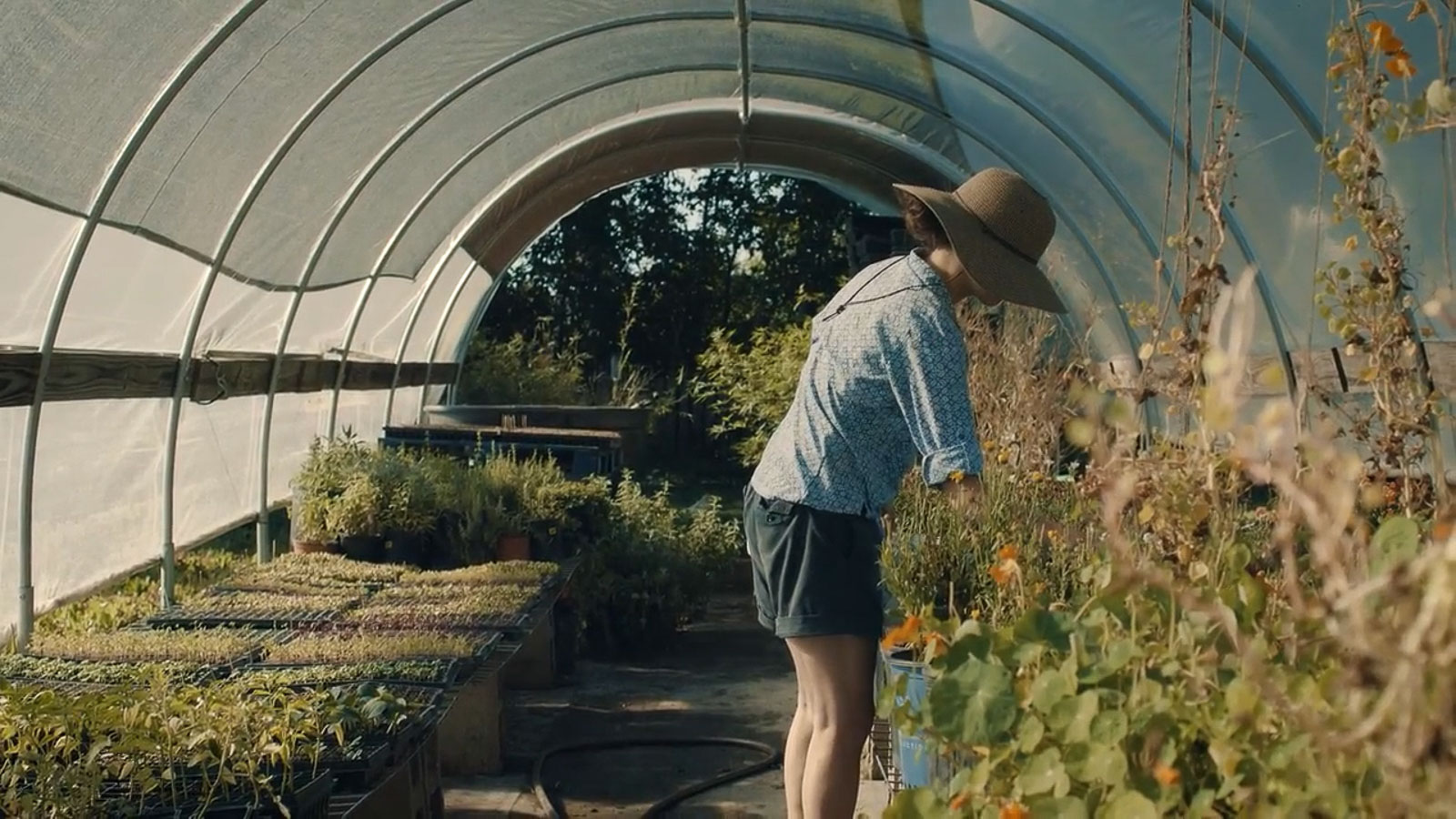 Still frame from Digital Craftsmen Series: Fullness Farm